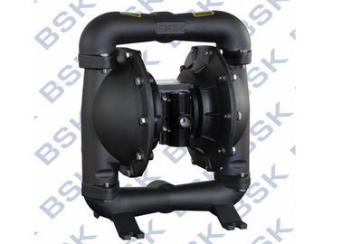 Vacuum Positive Displacement Pump