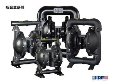 Vacuum Positive Displacement Pump